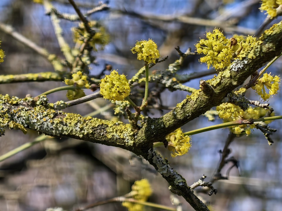 IMG_20260319_144813